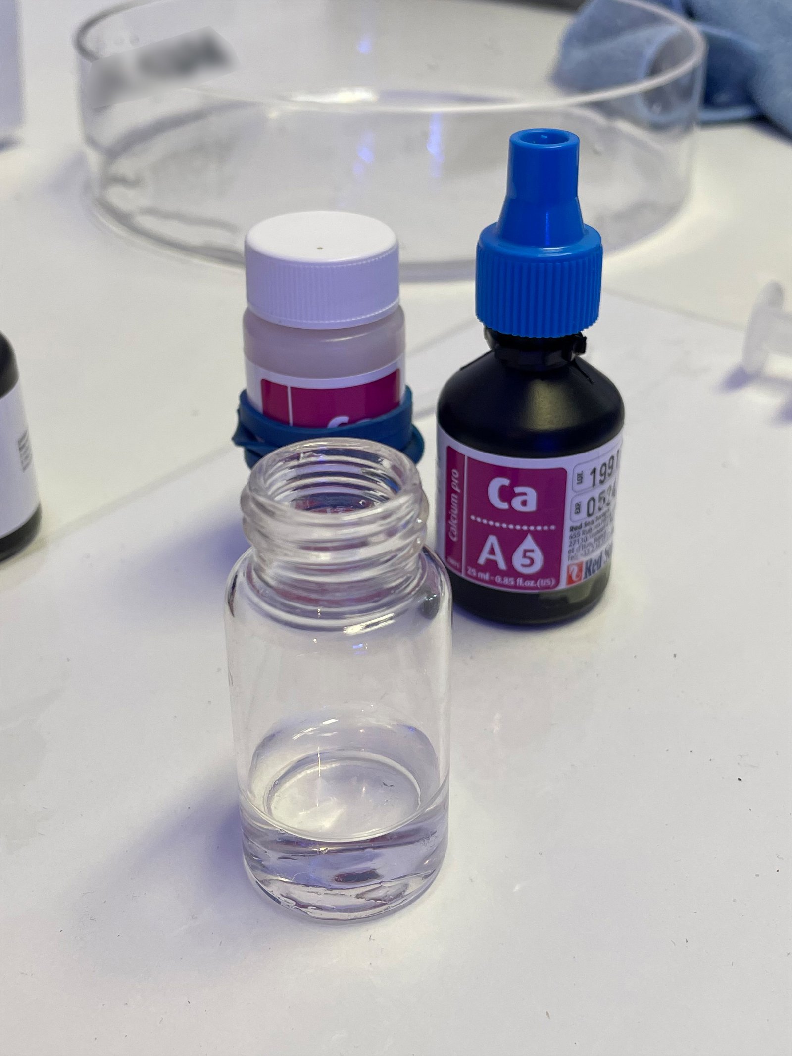 Calcium Test Vorbereitung