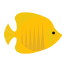 Doktorfisch PNG